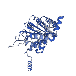 40763_8sub_E_v1-1
E. coli SIR2-HerA complex (dodecamer SIR2 pentamer HerA)