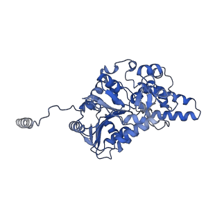 40763_8sub_F_v1-0
E. coli SIR2-HerA complex (dodecamer SIR2 pentamer HerA)
