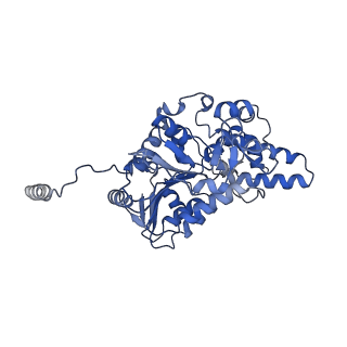 40763_8sub_F_v1-1
E. coli SIR2-HerA complex (dodecamer SIR2 pentamer HerA)