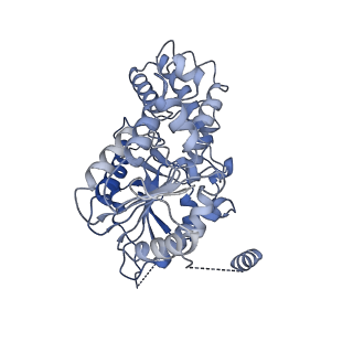 40763_8sub_G_v1-0
E. coli SIR2-HerA complex (dodecamer SIR2 pentamer HerA)