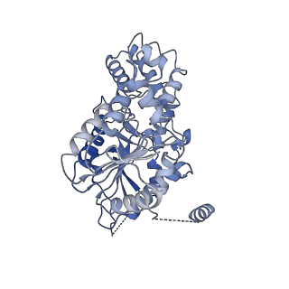 40763_8sub_G_v1-1
E. coli SIR2-HerA complex (dodecamer SIR2 pentamer HerA)