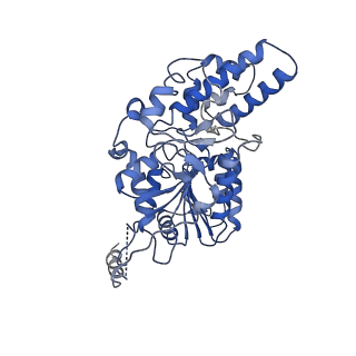 40763_8sub_H_v1-0
E. coli SIR2-HerA complex (dodecamer SIR2 pentamer HerA)