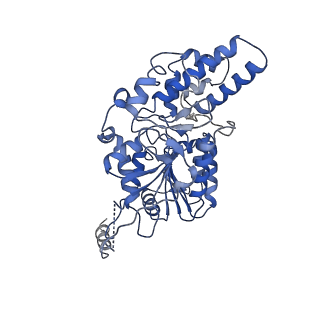 40763_8sub_H_v1-1
E. coli SIR2-HerA complex (dodecamer SIR2 pentamer HerA)