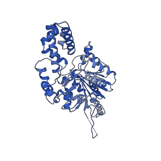 40763_8sub_J_v1-0
E. coli SIR2-HerA complex (dodecamer SIR2 pentamer HerA)