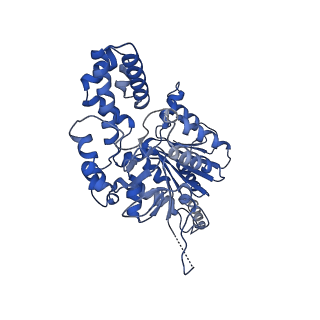 40763_8sub_J_v1-1
E. coli SIR2-HerA complex (dodecamer SIR2 pentamer HerA)