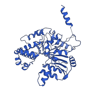 40763_8sub_K_v1-0
E. coli SIR2-HerA complex (dodecamer SIR2 pentamer HerA)