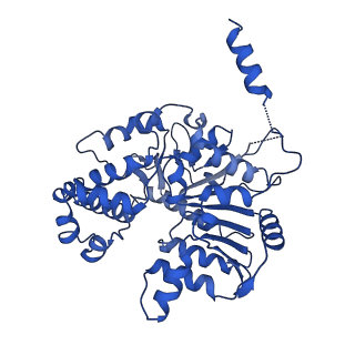 40763_8sub_K_v1-1
E. coli SIR2-HerA complex (dodecamer SIR2 pentamer HerA)