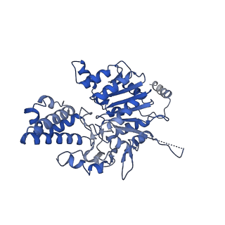 40763_8sub_L_v1-0
E. coli SIR2-HerA complex (dodecamer SIR2 pentamer HerA)