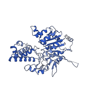 40763_8sub_L_v1-1
E. coli SIR2-HerA complex (dodecamer SIR2 pentamer HerA)