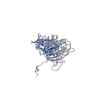 40763_8sub_M_v1-0
E. coli SIR2-HerA complex (dodecamer SIR2 pentamer HerA)