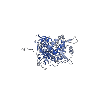 40763_8sub_N_v1-0
E. coli SIR2-HerA complex (dodecamer SIR2 pentamer HerA)