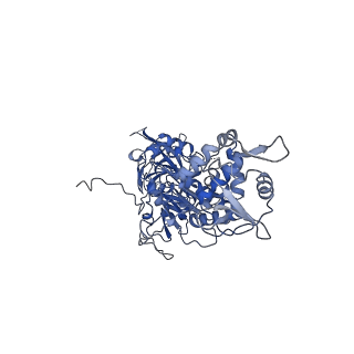 40763_8sub_N_v1-1
E. coli SIR2-HerA complex (dodecamer SIR2 pentamer HerA)