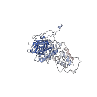 40763_8sub_P_v1-0
E. coli SIR2-HerA complex (dodecamer SIR2 pentamer HerA)