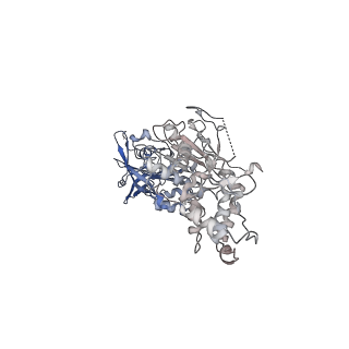 40763_8sub_Q_v1-0
E. coli SIR2-HerA complex (dodecamer SIR2 pentamer HerA)