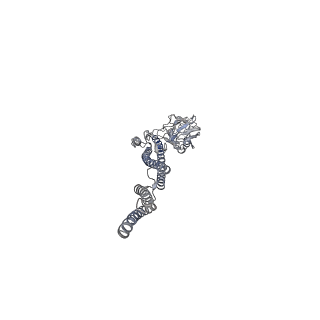 40765_8sug_E_v1-0
Cryo-EM structure of the wild type P. aeruginosa flagellar filament