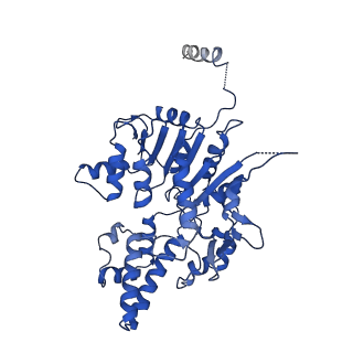 40778_8suw_B_v1-0
E. coli SIR2-HerA complex (dodecamer SIR2 bound 4 protomers of HerA)