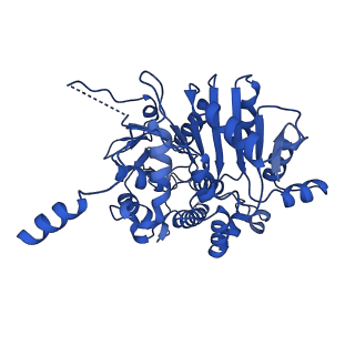 40778_8suw_C_v1-0
E. coli SIR2-HerA complex (dodecamer SIR2 bound 4 protomers of HerA)