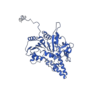 40778_8suw_D_v1-0
E. coli SIR2-HerA complex (dodecamer SIR2 bound 4 protomers of HerA)