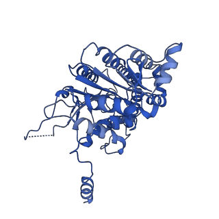 40778_8suw_E_v1-0
E. coli SIR2-HerA complex (dodecamer SIR2 bound 4 protomers of HerA)
