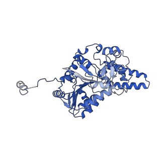 40778_8suw_F_v1-0
E. coli SIR2-HerA complex (dodecamer SIR2 bound 4 protomers of HerA)