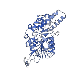 40778_8suw_H_v1-0
E. coli SIR2-HerA complex (dodecamer SIR2 bound 4 protomers of HerA)