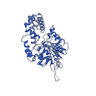 40778_8suw_J_v1-0
E. coli SIR2-HerA complex (dodecamer SIR2 bound 4 protomers of HerA)