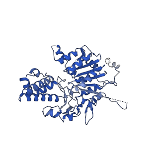 40778_8suw_L_v1-0
E. coli SIR2-HerA complex (dodecamer SIR2 bound 4 protomers of HerA)