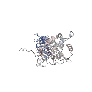 40778_8suw_N_v1-0
E. coli SIR2-HerA complex (dodecamer SIR2 bound 4 protomers of HerA)