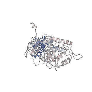 40778_8suw_O_v1-0
E. coli SIR2-HerA complex (dodecamer SIR2 bound 4 protomers of HerA)