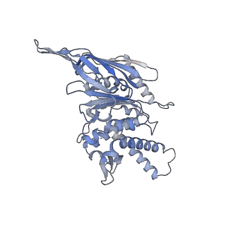 40779_8sux_A_v1-1
Structure of E. coli PtuA hexamer