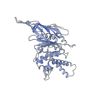 40779_8sux_A_v1-2
Structure of E. coli PtuA hexamer