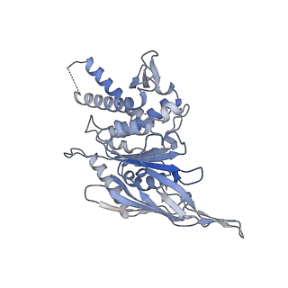 40779_8sux_B_v1-1
Structure of E. coli PtuA hexamer