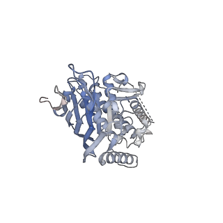 40779_8sux_C_v1-2
Structure of E. coli PtuA hexamer