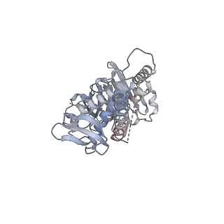 40779_8sux_D_v1-1
Structure of E. coli PtuA hexamer