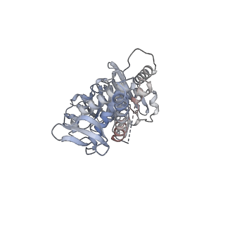 40779_8sux_D_v1-2
Structure of E. coli PtuA hexamer