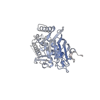 40779_8sux_E_v1-2
Structure of E. coli PtuA hexamer