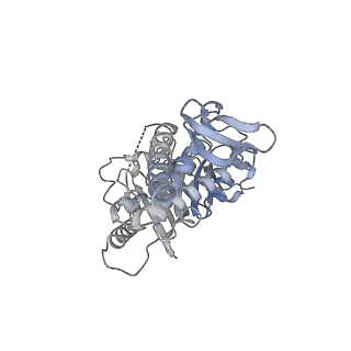 40779_8sux_F_v1-1
Structure of E. coli PtuA hexamer