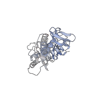 40779_8sux_F_v1-2
Structure of E. coli PtuA hexamer