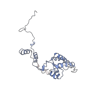 10315_6sv4_AA_v1-2
The cryo-EM structure of SDD1-stalled collided trisome.