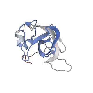 10315_6sv4_AB_v1-2
The cryo-EM structure of SDD1-stalled collided trisome.