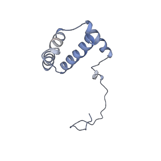 10315_6sv4_AC_v1-2
The cryo-EM structure of SDD1-stalled collided trisome.