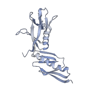 10315_6sv4_AD_v1-2
The cryo-EM structure of SDD1-stalled collided trisome.