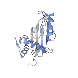 10315_6sv4_AG_v1-2
The cryo-EM structure of SDD1-stalled collided trisome.