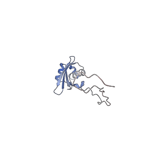 10315_6sv4_AH_v1-2
The cryo-EM structure of SDD1-stalled collided trisome.