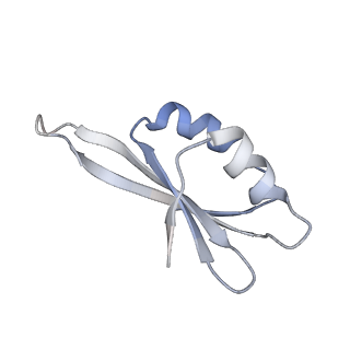 10315_6sv4_AI_v1-2
The cryo-EM structure of SDD1-stalled collided trisome.