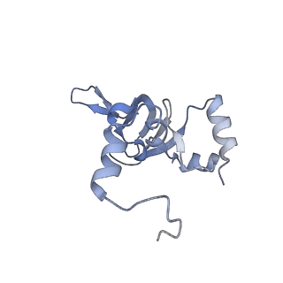 10315_6sv4_AK_v1-2
The cryo-EM structure of SDD1-stalled collided trisome.
