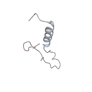 10315_6sv4_AL_v1-2
The cryo-EM structure of SDD1-stalled collided trisome.