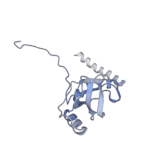 10315_6sv4_AM_v1-2
The cryo-EM structure of SDD1-stalled collided trisome.