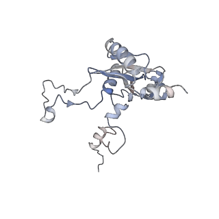10315_6sv4_AQ_v1-2
The cryo-EM structure of SDD1-stalled collided trisome.