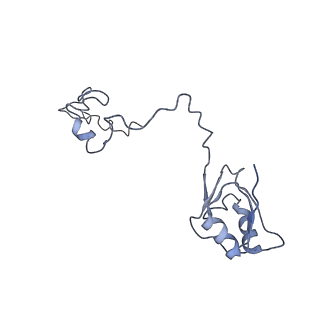 10315_6sv4_AR_v1-2
The cryo-EM structure of SDD1-stalled collided trisome.